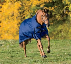 CWEAR BRANCH Rider’s International™ Supreme Turnout Sheet
