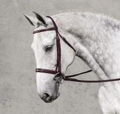 ERS Rodrigo Classic Hunter Bridle