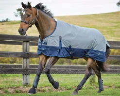 WEATHERBEETA Saxon 600D Medium-Weight Blanket with Gussets & Standard Neck II