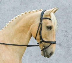 SCHOCKEMOEHLE N.A. Schockemöhle Equitus Alpha Bridle