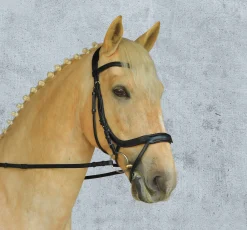 SCHOCKEMOEHLE N.A. Schockemöhle Equitus Alpha Bridle