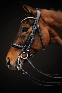 SCHOCKEMOEHLE N.A. Schockemöhle Equitus Gamma Double Bridle