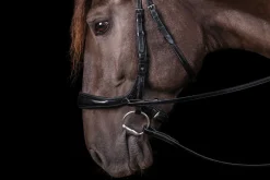 SCHOCKEMOEHLE N.A. Schockemöhle Equitus Theta Bridle