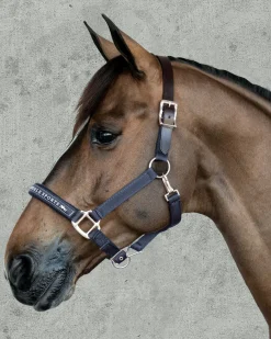 SCHOCKEMOEHLE N.A. Schockemöhle Memphis Halter
