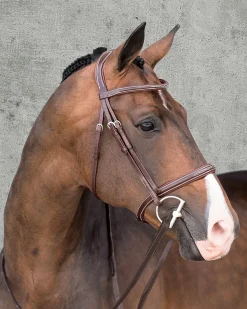 SCHOCKEMOEHLE N.A. Schockemöhle Montreal Select Anatomic Hunter Bridle