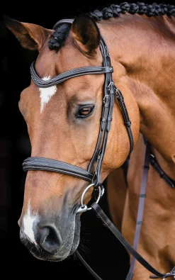 SCHOCKEMOEHLE N.A. Schockemöhle Monza Fancy Stitched Bridle