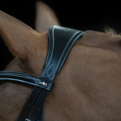 SCHOCKEMOEHLE N.A. Schockemöhle Monza Fancy Stitched Bridle