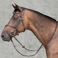 SCHOCKEMOEHLE N.A. Schockemöhle Rio Select Anatomic Figure-8 Bridle