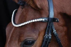 SCHOCKEMOEHLE N.A. Schockemöhle Siena Browband