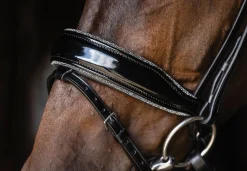 SCHOCKEMOEHLE N.A. Schockemöhle Standford Glam Bridle