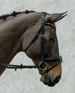 SCHOCKEMOEHLE N.A. Schockemöhle Stanford Bridle