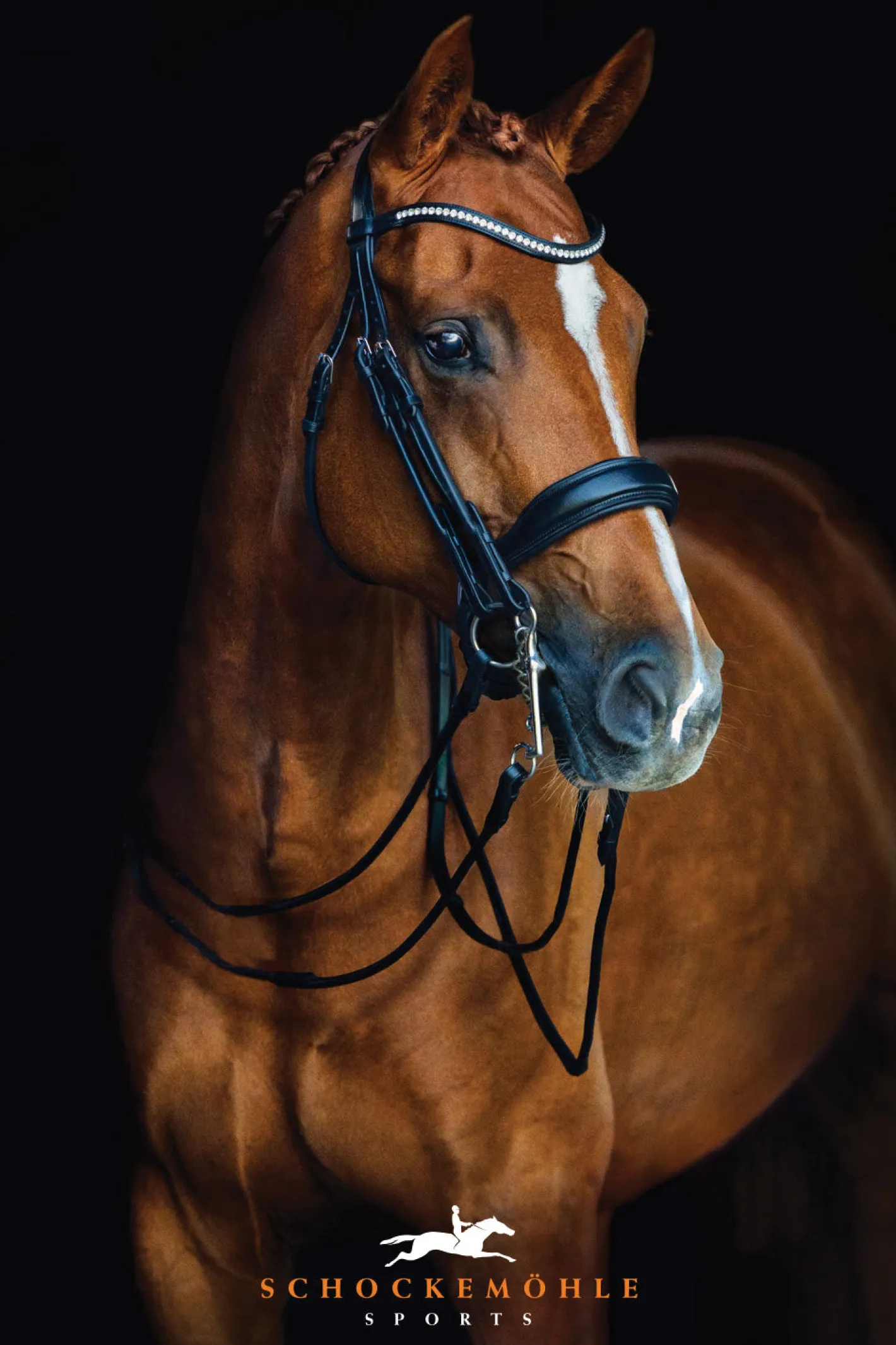 SCHOCKEMOEHLE N.A. Schockemöhle Venice Double Bridle