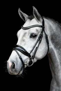 SCHOCKEMOEHLE N.A. Schockemöhle Malibu Bridle