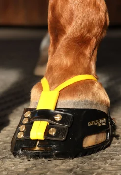 INTREPID INTL Scoot Boot Adjust Hoof Boots - Pair