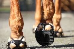 INTREPID INTL Scoot Boot Adjust Hoof Boots - Pair