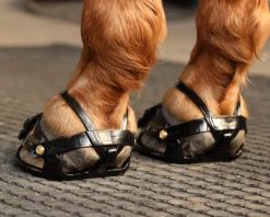 INTREPID INTL Scoot Boot Adjust Hoof Boots - Pair