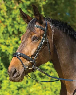 SHIRES EQUESTRIAN Shires Avignon Aspen Bridle