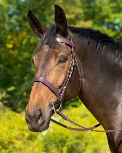 SHIRES EQUESTRIAN Shires Avignon Middleburg Hunt Bridle