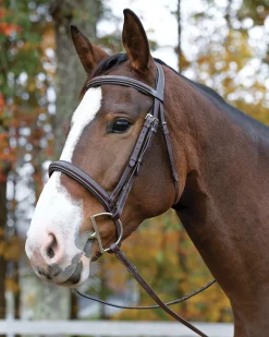 SHIRES EQUESTRIAN Shires Avignon Ocala Bridle