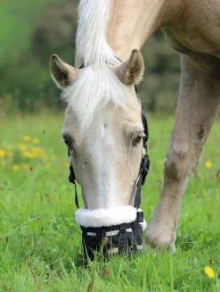 SHIRES EQUESTRIAN Shires Deluxe Grass Muzzle