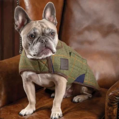 SHIRES EQUESTRIAN Shires Digby & Fox Tweed Dog Coat