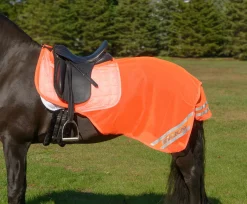 SHIRES EQUESTRIAN Shires Equi-Flector® Exercise Sheet