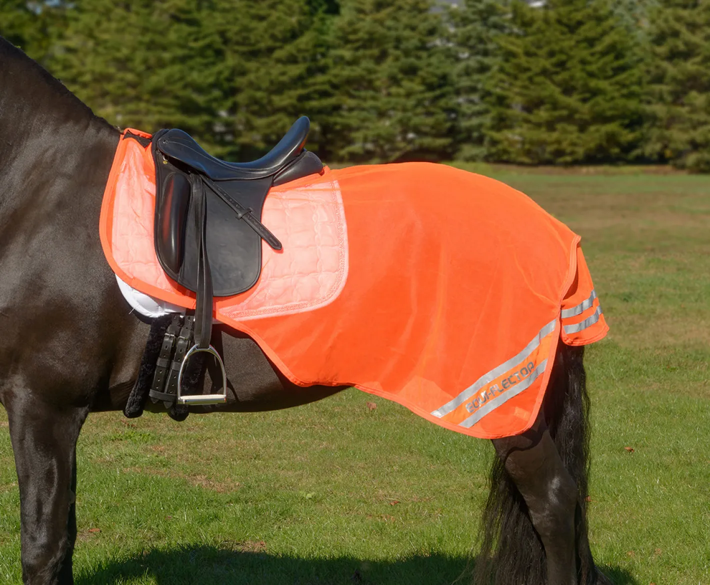 SHIRES EQUESTRIAN Shires Equi-Flector® Exercise Sheet