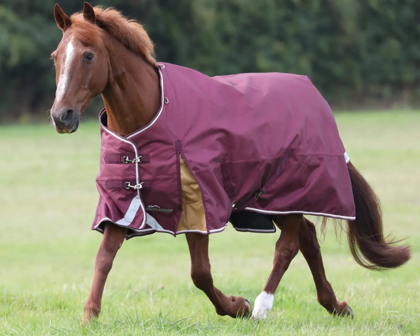 SHIRES EQUESTRIAN Shires Highlander 100G Blanket