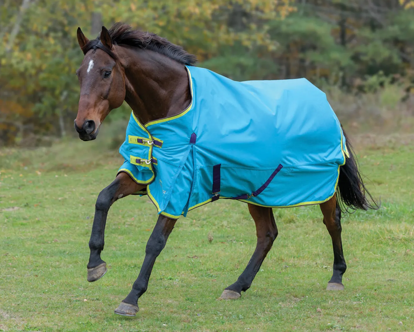 SHIRES EQUESTRIAN Shires Highlander 100G Blanket