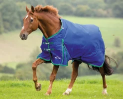 SHIRES EQUESTRIAN Shires Highlander 200G Blanket