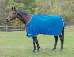 SHIRES EQUESTRIAN Shires Highlander 200G Blanket