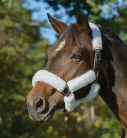 SHIRES EQUESTRIAN Shires SupaFleece Halter Fleeces - 9 piece set
