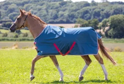 SHIRES EQUESTRIAN Shires Tempest Original Lite Turnout Sheet
