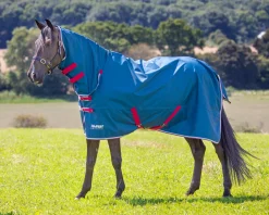 SHIRES EQUESTRIAN Shires Tempest Original Lite Combo Turnout Sheet