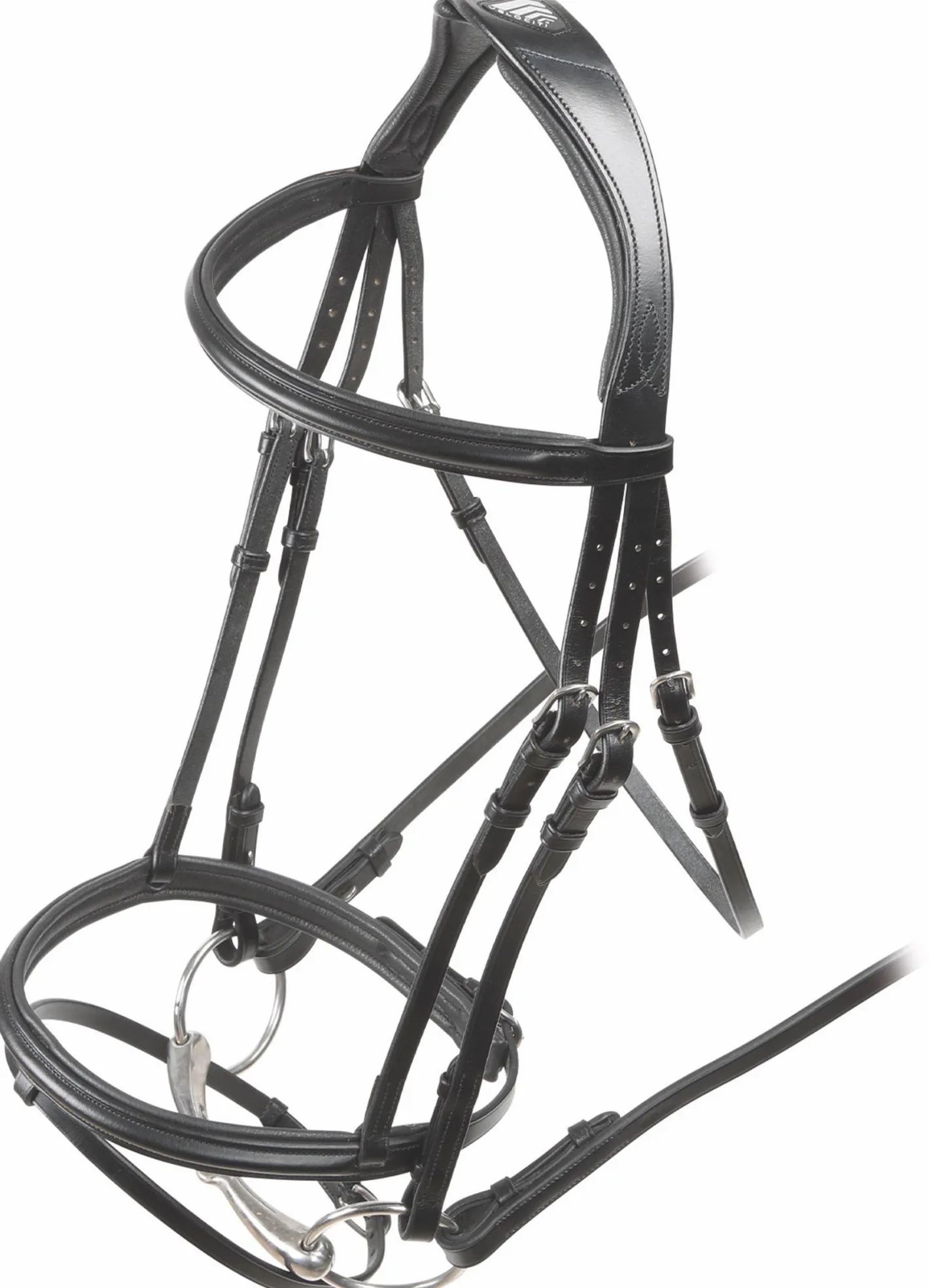 SHIRES EQUESTRIAN Shires Velociti Rapida Padded Raised Flash Bridle