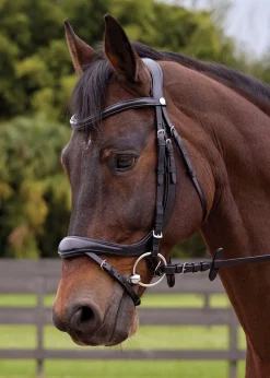 GLOBAL EXPORTS Showmark® Ergonomic Flash Bridle