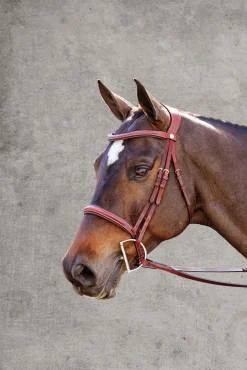 PUSHKAR INTL Showmark® Ergonomic Hunter Bridle