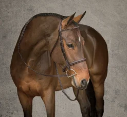 HARMOHN KRAFT Showmark® Premier Hunter Bridle