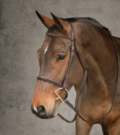 HARMOHN KRAFT Showmark® Premier Hunter Bridle
