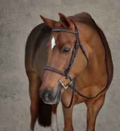 HARMOHN KRAFT Showmark® Premier Padded Pony Hunter Bridle