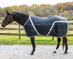 INTREPID INTL Snuggie Heavyweight Stable Blanket, Large