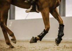 STUBBEN N.A. Stübben Airflow Fleece-Lined Brushing Boots