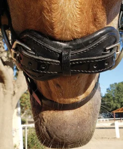 STUBBEN N.A. Stübben Patent Switch Combo Bridle