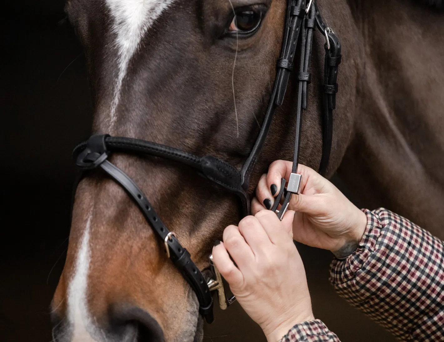 STUBBEN N.A. Stübben Pro Jump Bridle with Removable Flash Noseband