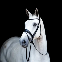 STUBBEN N.A. Stübben Switch Combo Bridle