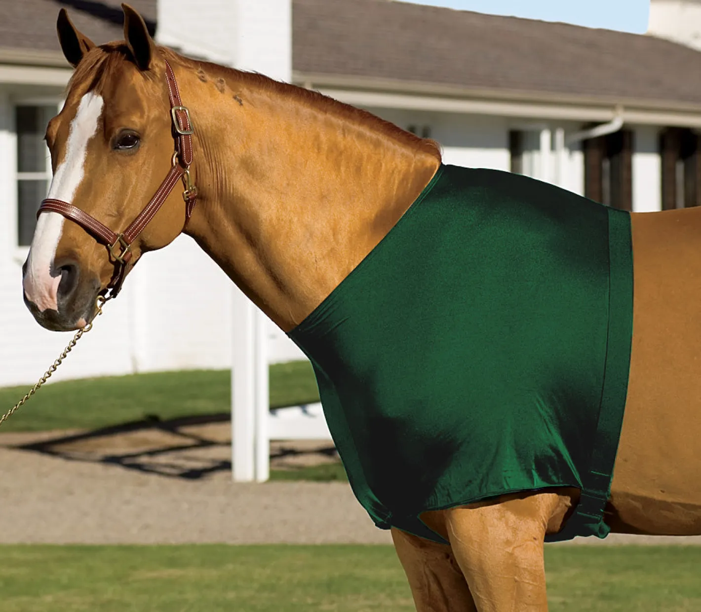 INT RIDING HELMET Stretchies® Shoulder Guard