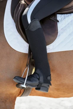 TEXT HORSE Stride™ Ladies’ Coolmesh Half Chaps