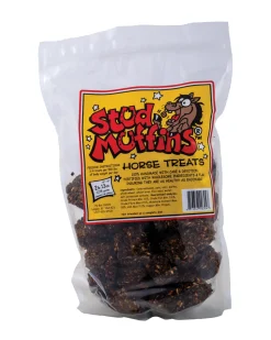 ANIMAL HEALTH INT Stud Muffins® Horse Treats - 90 oz