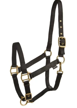 TEXT HORSE Suffolk™ Heavy Nylon Breakaway Halter with Fuse