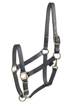TEXT HORSE Suffolk™ Heavy Nylon Breakaway Halter with Fuse